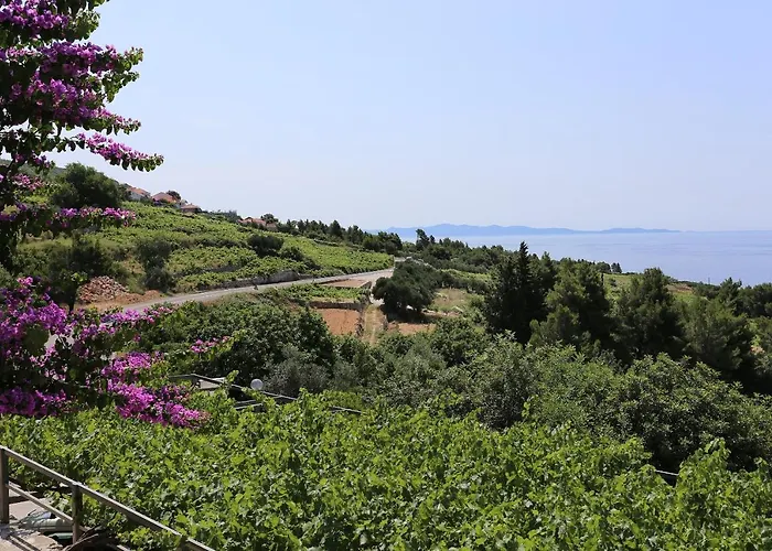 With A Swimming Pool Mokalo, Peljesac - 639 *